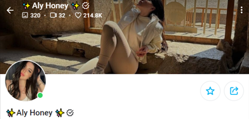 Aly Honey’s banner image has a great background along with a clear picture of herself centered in between. 