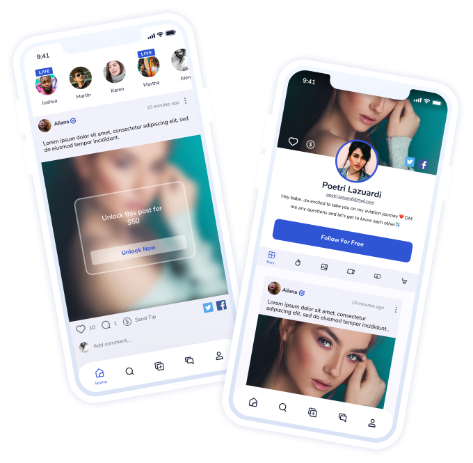 fansly clone - build a subscription-based platform at an affordable price